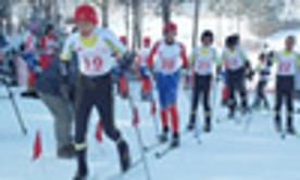 스키 꿈나무 발굴, 중재배 초등학교 스키대회 열려