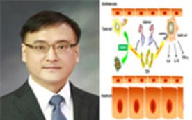 Prof. Lee Sung-wook and Team Develop Inhibiting Substance for Liver Metastasis of Colorectal Cancer