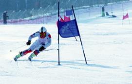 평창동계올림픽을 대비한 스키 꿈나무 육성, 중재배 스키대회 열려