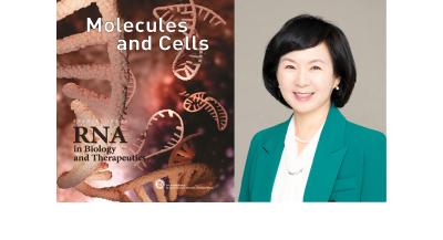 정선주 교수, 과기정통부 「차세대 RNA 편집·표적·제어 원천기술개발사업」 총괄지원과제 선정