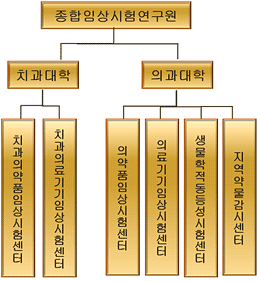 종합임상시험연구원 조직도